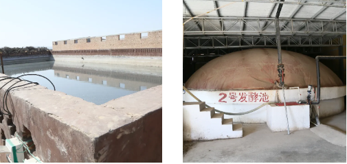 1702975543876396.png 50.png